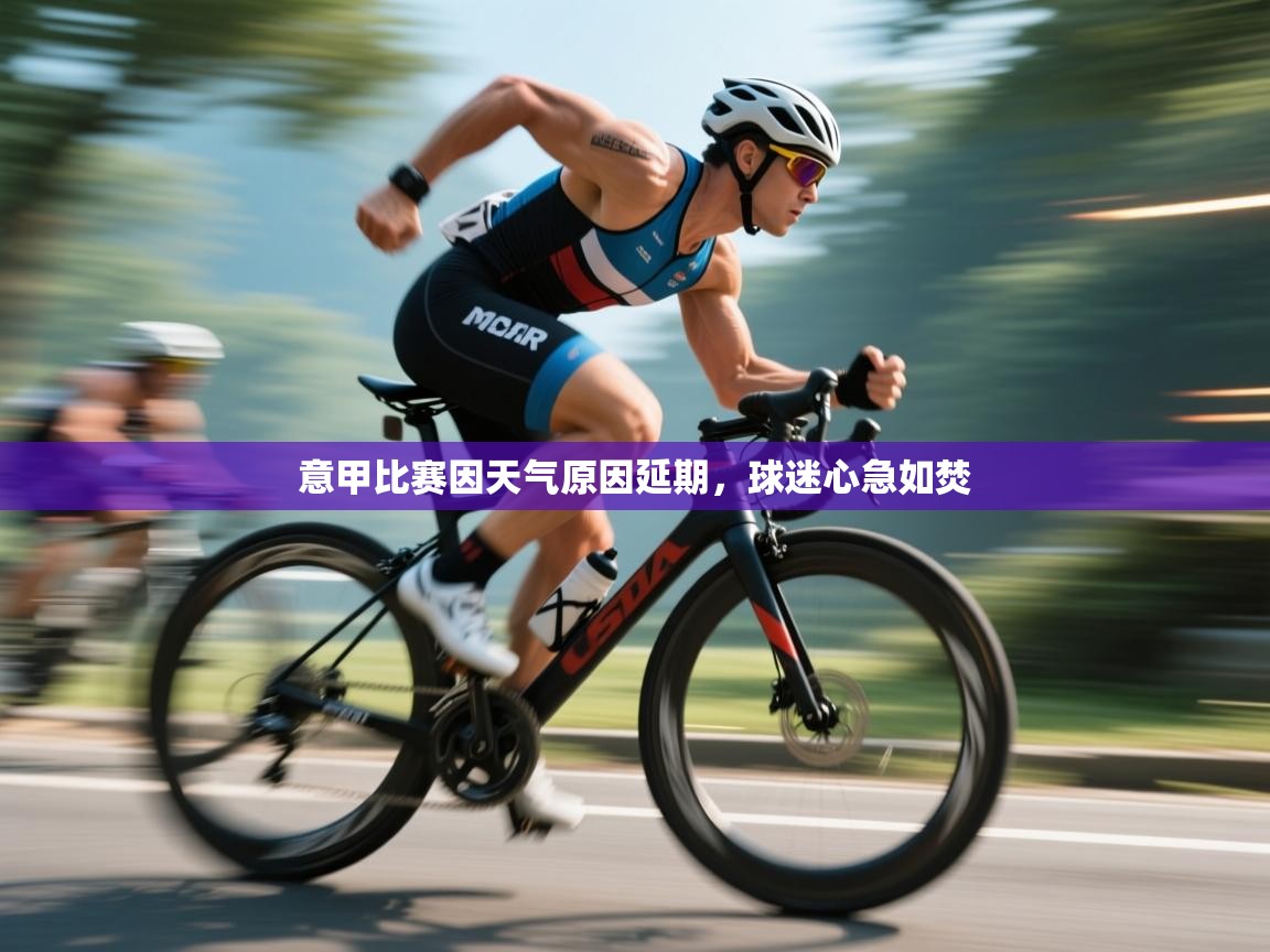 意甲比赛因天气原因延期,球迷心急如焚 第2张