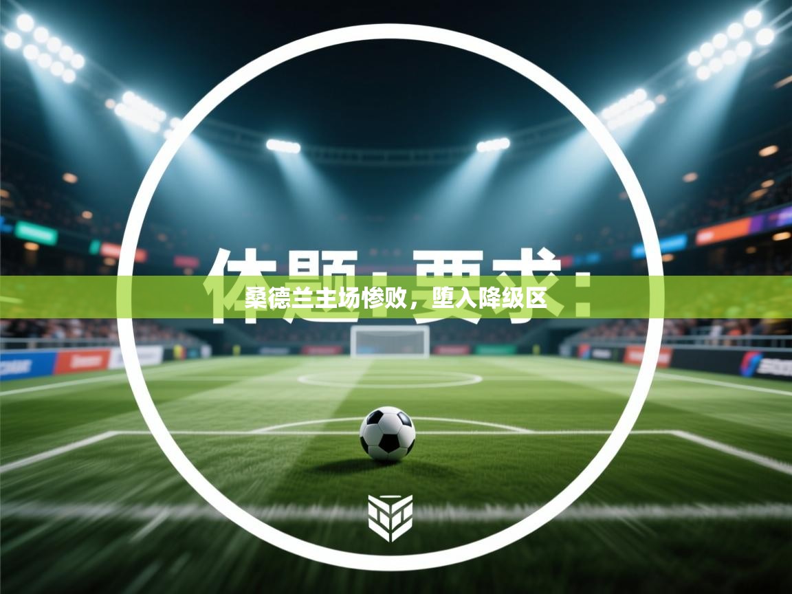桑德兰主场惨败,堕入降级区 第2张
